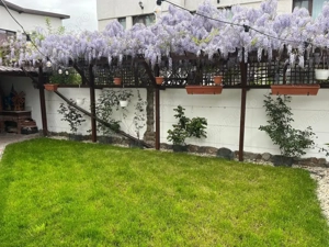 Vila individuală superbă ultracentrală Chiajna cu finisaje lux  - imagine 4