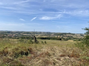 Teren extravilan de vanzare in Tileagd - 3166 mp cu panorama superba - imagine 3