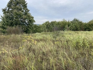 Teren extravilan de vanzare in Tileagd - 3166 mp cu panorama superba - imagine 12