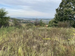 Teren extravilan de vanzare in Tileagd - 3166 mp cu panorama superba - imagine 11