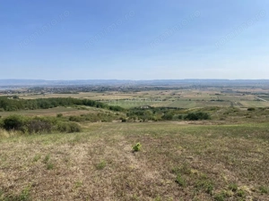 Teren extravilan de vanzare in Tileagd - 3166 mp cu panorama superba - imagine 2