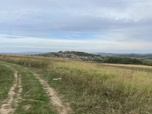 Teren extravilan de vanzare in Tileagd - 3166 mp cu panorama superba - imagine 15