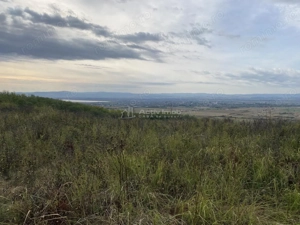 Teren extravilan de vanzare in Tileagd - 3166 mp cu panorama superba - imagine 14