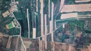 Teren extravilan de vanzare in Tileagd - 3166 mp cu panorama superba - imagine 9