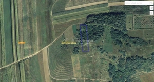 Teren extravilan de vanzare in Tileagd - 3166 mp cu panorama superba - imagine 10