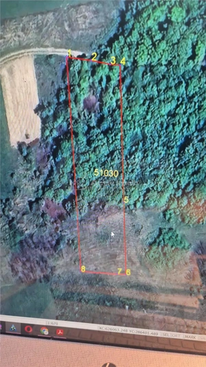 Teren extravilan de vanzare in Tileagd - 3166 mp cu panorama superba - imagine 8