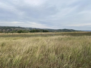 Teren extravilan de vanzare in Tileagd - 3166 mp cu panorama superba - imagine 6