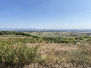 Teren extravilan de vanzare in Tileagd - 3166 mp cu panorama superba - imagine 5