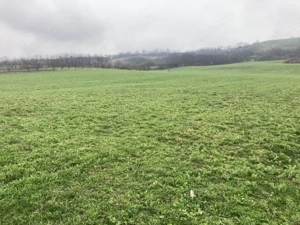 Miroslava! Teren agricol 6435, la 2 min de Primarie!