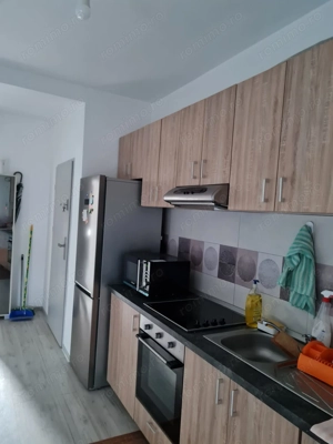 Giroc 2 camere 400 euro - imagine 9