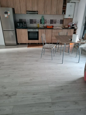 Giroc 2 camere 400 euro - imagine 7