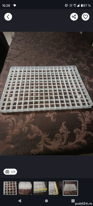 De vînzare site ouă prepeliță pentru incubator