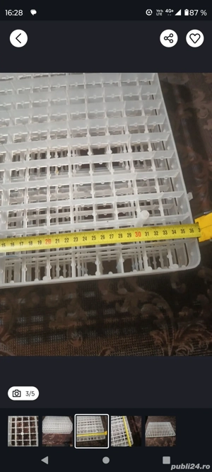 De vînzare site ouă prepeliță pentru incubator - imagine 3