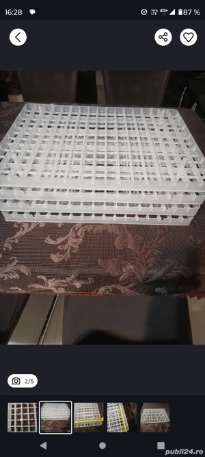 De vînzare site ouă prepeliță pentru incubator - imagine 4