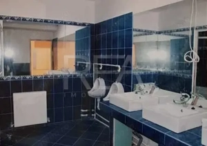 Once-in-a-Lifetime Opportunity-COLENTINA/LIZEANU >50% REDUCERE:325000 euro - imagine 8