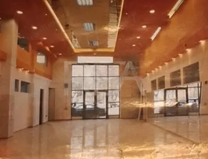 Once-in-a-Lifetime Opportunity-COLENTINA/LIZEANU >50% REDUCERE:325000 euro - imagine 5