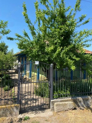 Casă la țară cu teren 1000 mp + posibilitate teren suplimentar 1922 mp   Baneasa, judetul Giurgiu - imagine 9