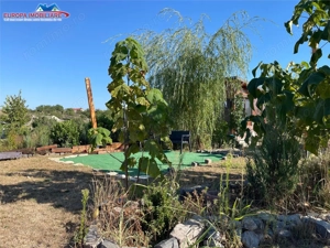 Teren de vanzare in localitatea Cataloi Tulcea - imagine 4