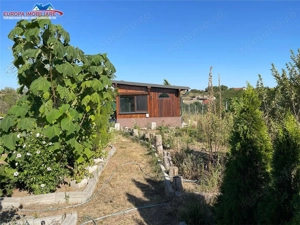 Teren de vanzare in localitatea Cataloi Tulcea - imagine 16