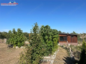 Teren de vanzare in localitatea Cataloi Tulcea - imagine 17