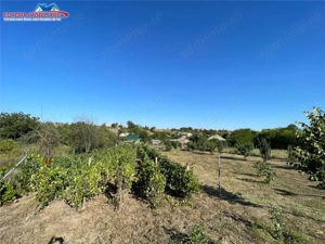 Teren de vanzare in localitatea Cataloi Tulcea - imagine 6