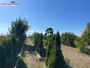 Teren de vanzare in localitatea Cataloi Tulcea - imagine 5