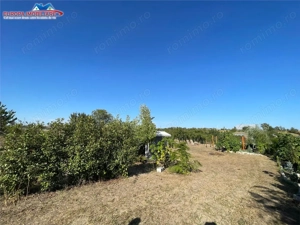 Teren de vanzare in localitatea Cataloi Tulcea - imagine 7