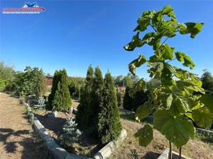 Teren de vanzare in localitatea Cataloi Tulcea - imagine 20