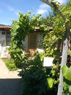 Case de vînzare confort apartament