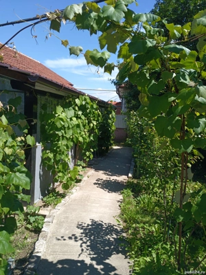 Case de vinzare confort apartament - imagine 3