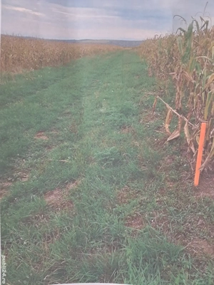 Vand teren extravilan in Bontida, judetul Cluj