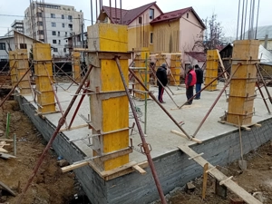 Constructii case,vile