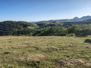 Vând teren extravilan și intravilan, Râmeț,Transapuseana - imagine 9