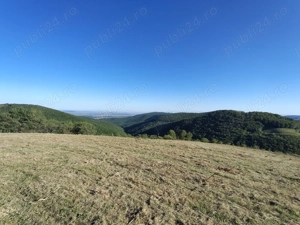 Vând teren extravilan și intravilan, Râmeț,Transapuseana - imagine 6