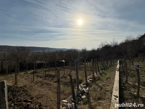 Vand teren intravilan