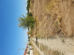 Teren Ghercești str.Aviatorilor alea 6 500m - imagine 5 Teren Ghercești str.Aviatorilor alea 6 500m - imagine 5