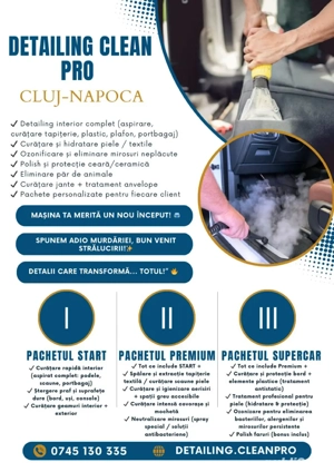 Detailing Auto interior Curatare | Covoare | Canapele | Saltele | Perne