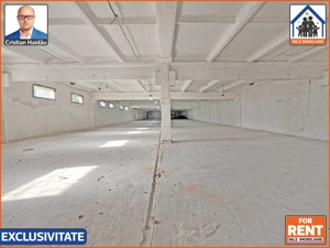 Hale de inchiriat in 1 Decembrie Ilfov | NILS Imobiliare - imagine 7