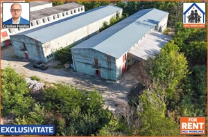 Hale de inchiriat in 1 Decembrie Ilfov | NILS Imobiliare - imagine 2