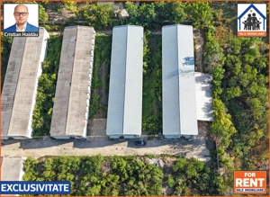 Hale de inchiriat in 1 Decembrie Ilfov | NILS Imobiliare - imagine 3