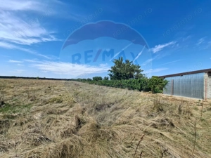 Teren ideal pentru complex rezidențial – Aradul Nou - imagine 5