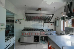 Oportunitate de investiție, Restaurantul Piatra Grăitoare,Vârtop,Bihor - imagine 8