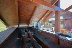 Oportunitate de investiție, Restaurantul Piatra Grăitoare,Vârtop,Bihor - imagine 6