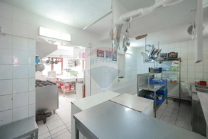 Oportunitate de investiție, Restaurantul Piatra Grăitoare,Vârtop,Bihor - imagine 19