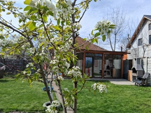 Întreținere spatii verzi 