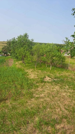 Vând urgent vatră de casa cu teren aferent  55000   negociabil