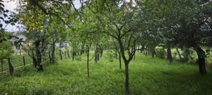 Casa batraneasca in Bretcu (Covasna) la schimb cu garsoniera in orasul Brasov - imagine 7