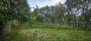 Casa batraneasca in Bretcu (Covasna) la schimb cu garsoniera in orasul Brasov - imagine 6