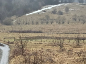 Teren de vanzare Rasnov