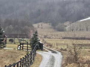 Teren de vanzare Rasnov - imagine 4